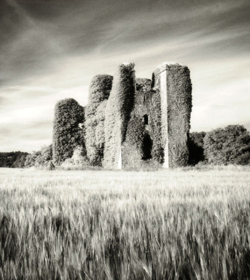 Carrickdexter Castle